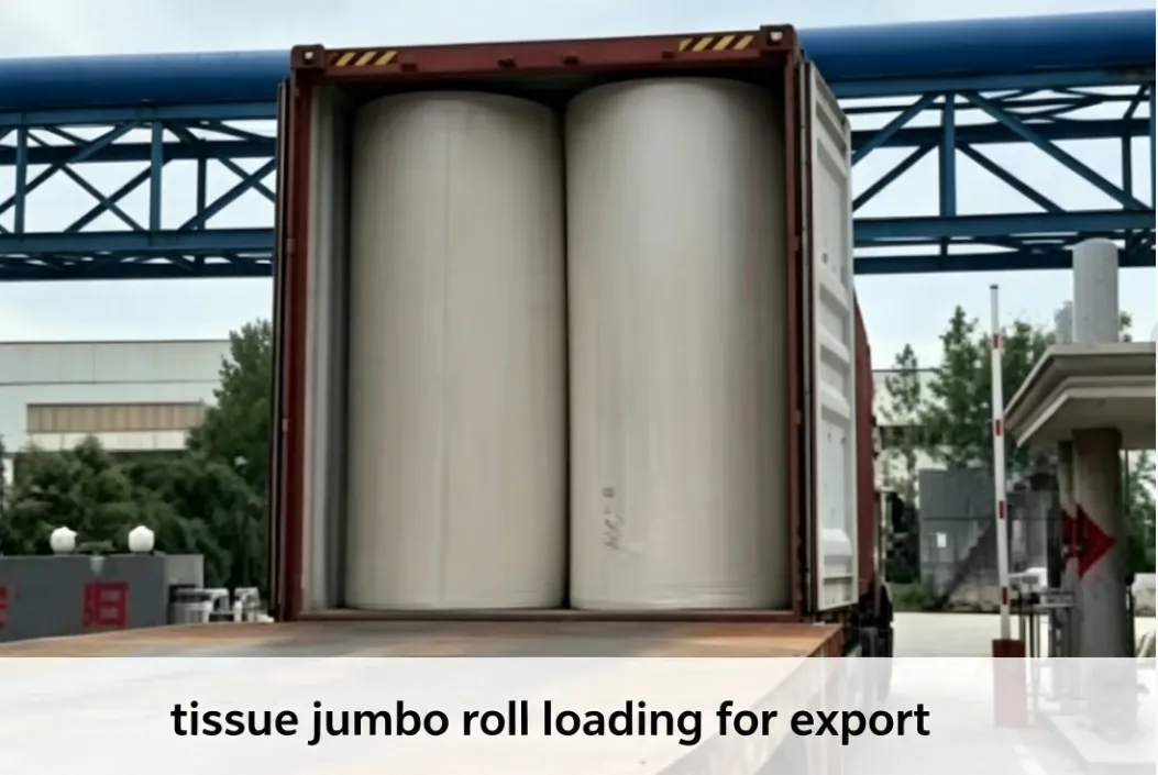 Tissue jumbo rolls loaded into a shipping container for export